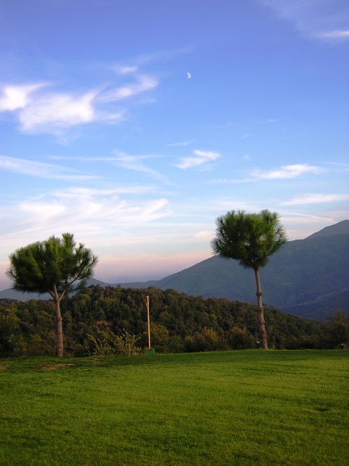 dscn3482.JPG